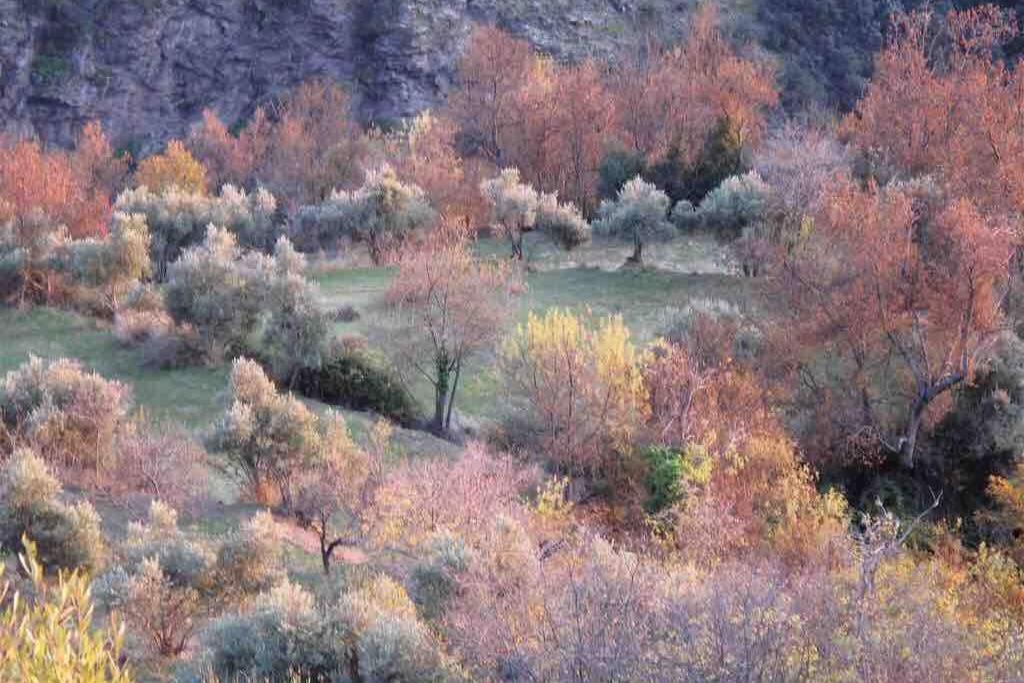 Casa Carmela, Rural House With Spectacular Views, In An Exquisite Area Villa Atalbeitar Buitenkant foto