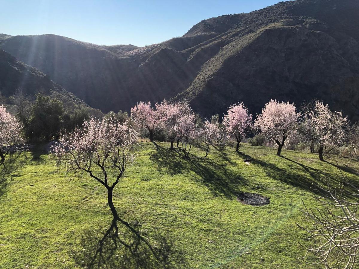 Casa Carmela, Rural House With Spectacular Views, In An Exquisite Area Villa Atalbeitar Buitenkant foto