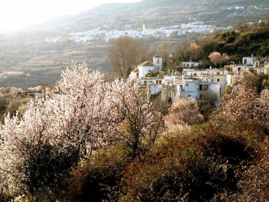 Casa Carmela, Rural House With Spectacular Views, In An Exquisite Area Villa Atalbeitar Buitenkant foto