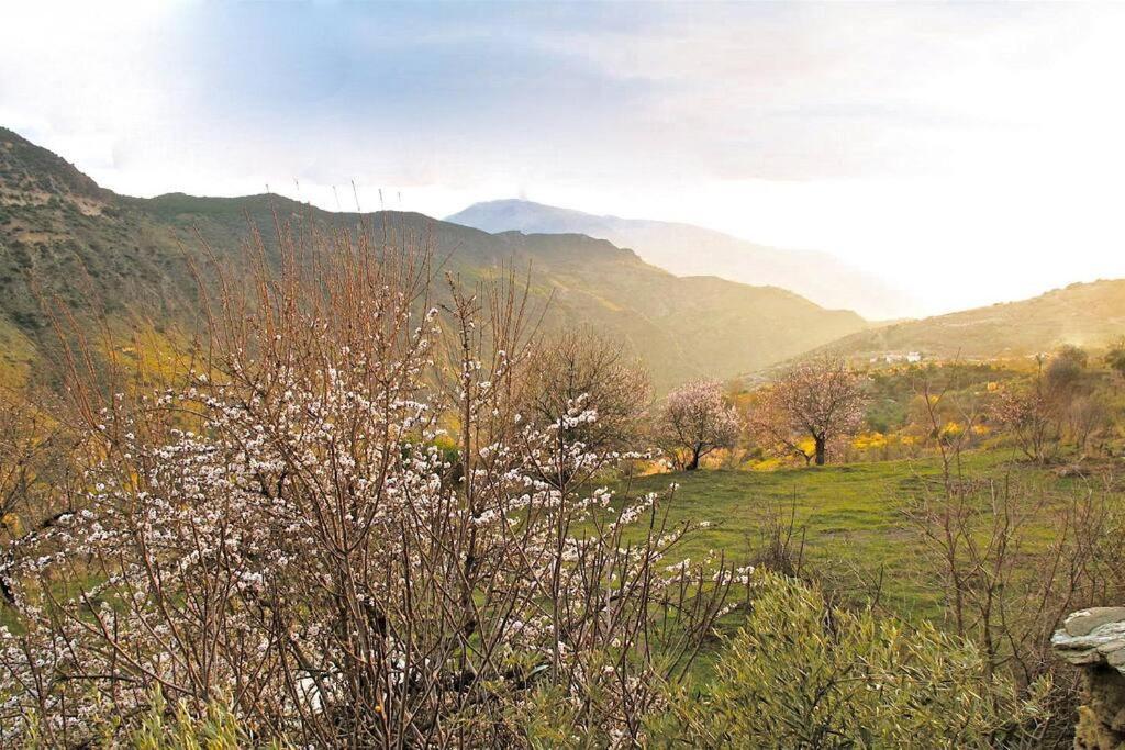 Casa Carmela, Rural House With Spectacular Views, In An Exquisite Area Villa Atalbeitar Buitenkant foto