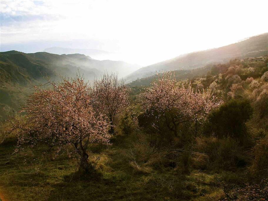 Casa Carmela, Rural House With Spectacular Views, In An Exquisite Area Villa Atalbeitar Buitenkant foto