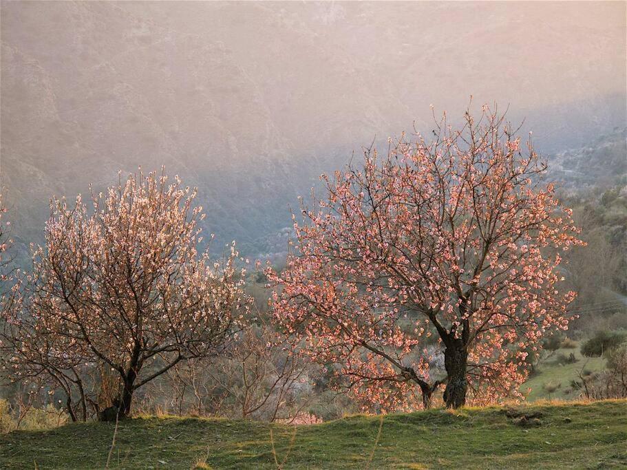 Casa Carmela, Rural House With Spectacular Views, In An Exquisite Area Villa Atalbeitar Buitenkant foto